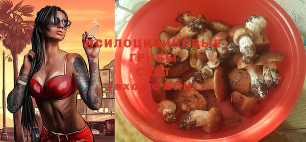 ALPHA PVP Володарск
