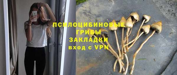 Альфа ПВП Волоколамск