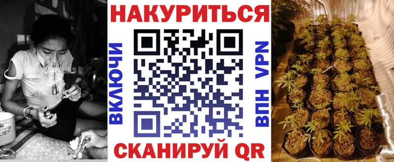 Конопля план  Кисловодск 